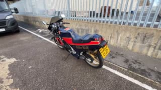 1987 Suzuki RG250 Gamma 'Walter Wolf' Frame no. GJ21B-106229 Engine no. J202-106331 image 4