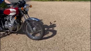 1975 Triumph 744cc Trident T160 Frame no. T160 CKO 2159 Engine no. T160 CKO 2159 image 4